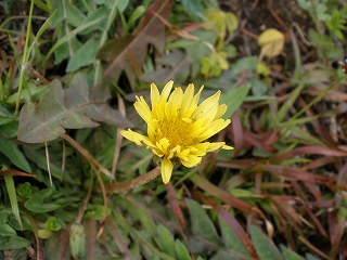 P3051080