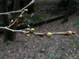 P3051071