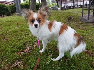 2018.6.12