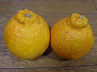 P1310492