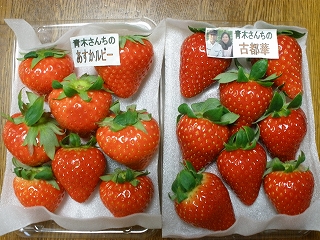 P1120369