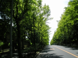 P8113583