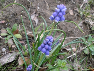 P3161010