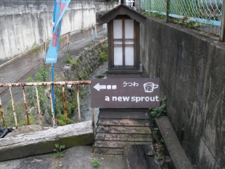 P5282235