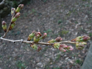 P3191076
