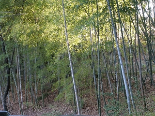 P3191086