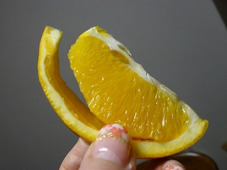 P2050571