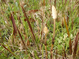 P3161007