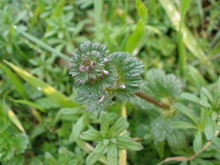 P3051078