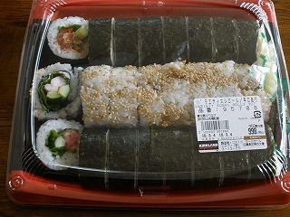 P3041048