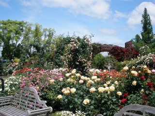P5282176