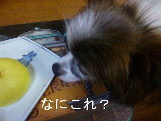 BlogPaint