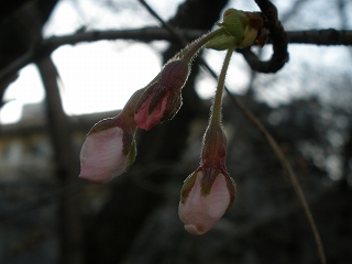 P3191080