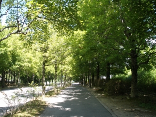 P8113580