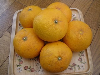 P4251515