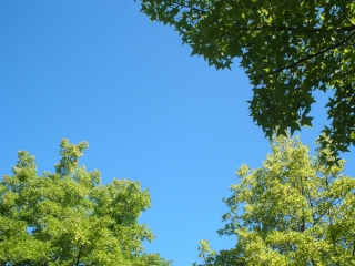 P8053439