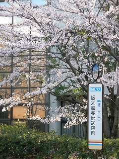 P4071441