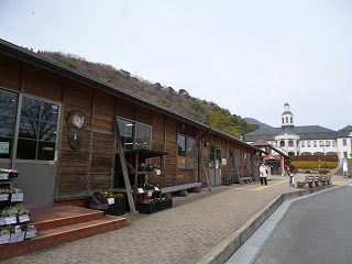 P1070950