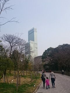 DSC_9274