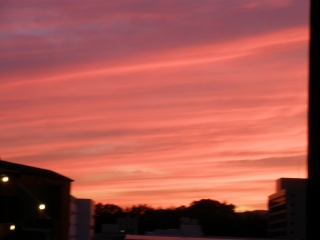 P6242845