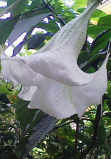 3692a35d.jpg