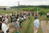 140628伊佐田植え02