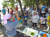 130803くすの木海岸観察06