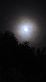 48263b00.jpg