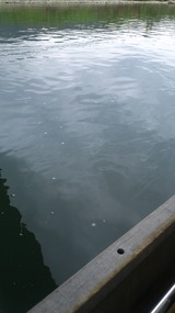 c815a63b.jpg