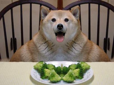 mMSrat1