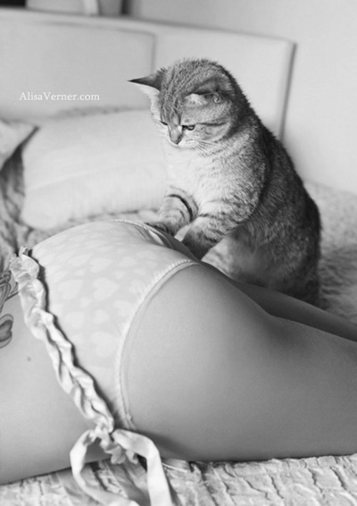 tumblr_m7qpxpmrfP1qcr2gxo1_500