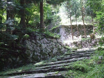 vlnews066960