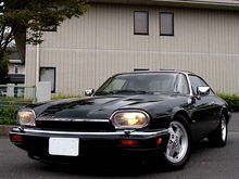 jaguar
