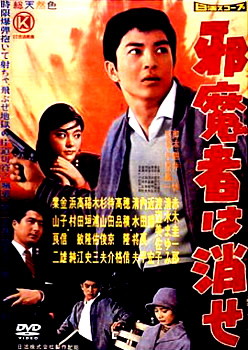 邪魔者は消せ   NYK-803 [DVD]