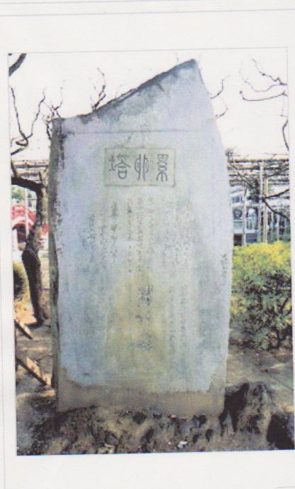 累卵塔 001