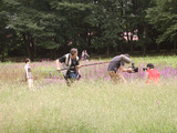 sakura_L1