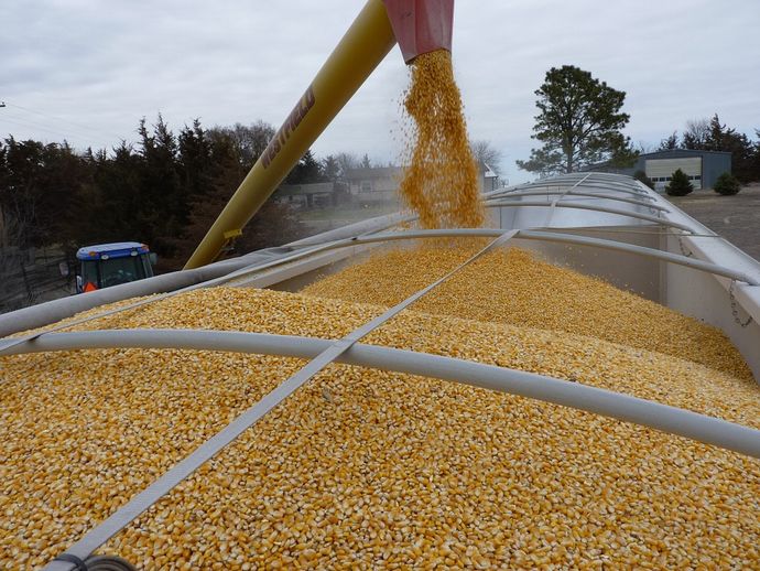 corn-554521_960_720