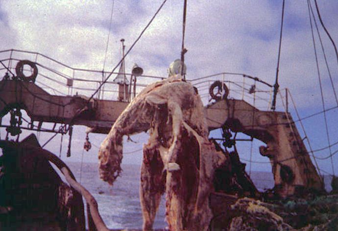 3b888433