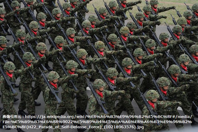平成22年度観閲式(H22_Parade_of_Self-Defense_Force)_(10218963576)