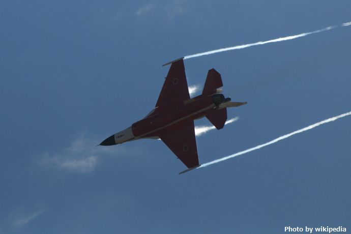 F-2_@_Gifu_2008岐阜基地航空祭_(3103520581)