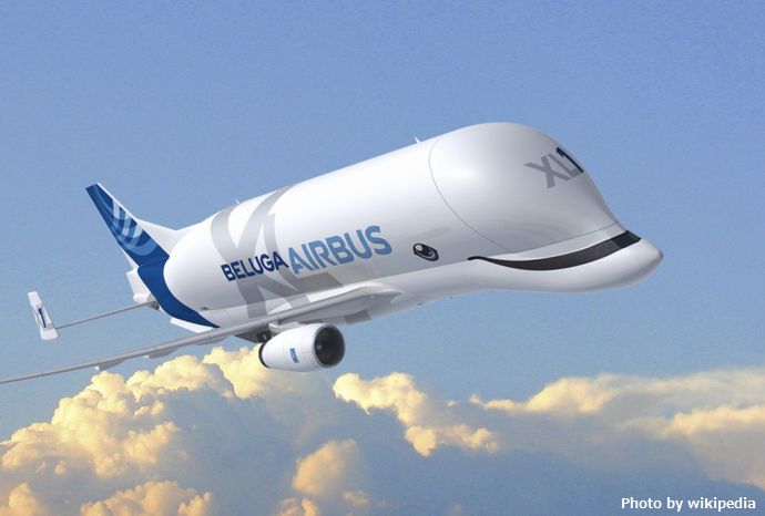BelugaXL-1