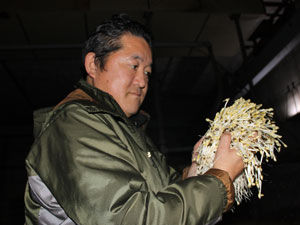 iizuka