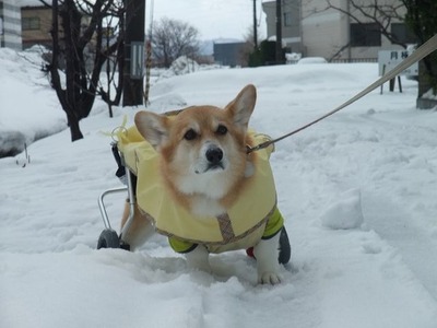 12020403