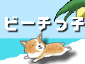 beachkko