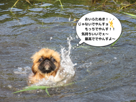 LTBqhbvWSgCiqpN1407148281_1407148892