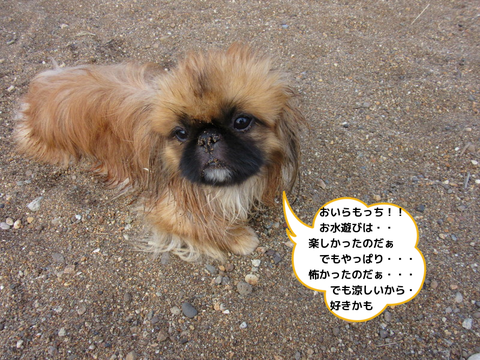 q7I_AFLTlWQg6sU1407152087_1407152570