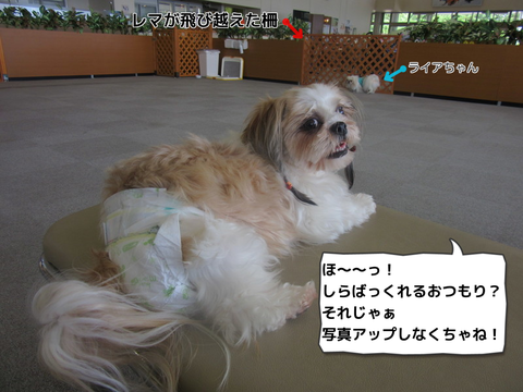 sy2QGIViWt7OBxJ1409568779_1409569560