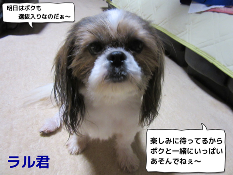 MQZHww4hO9Tl5Ao1404557340_1404558090