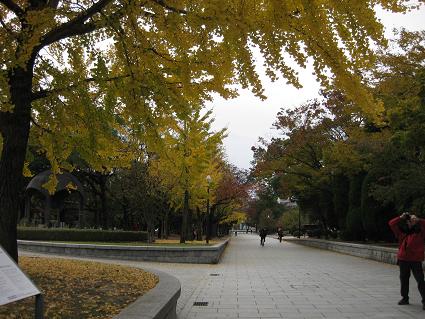8d7f929a.jpg