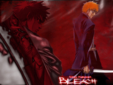 bleach3